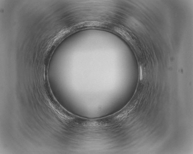 X0000059840253200511111752