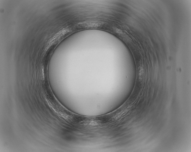 X0000059840254200511111752