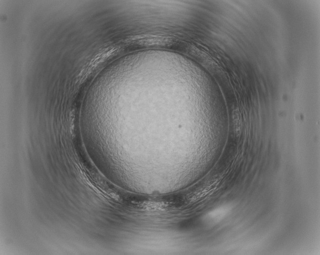 X0000059840255200511111752