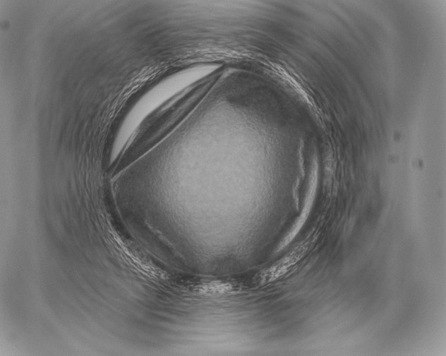 X0000059840257200511111752