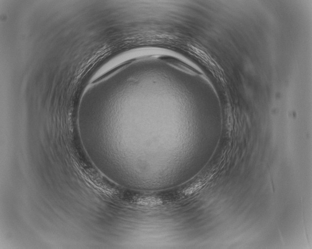 X0000059840258200511111752