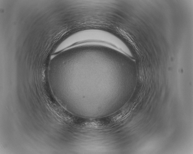 X0000059840259200511111752