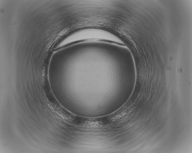 X0000059840260200511111752