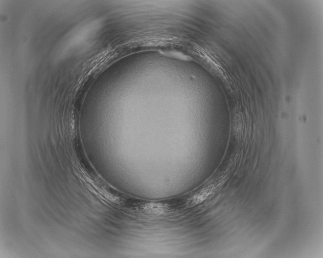 X0000059840261200511111752