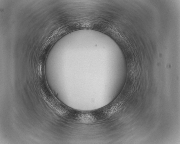 X0000059840262200511111752