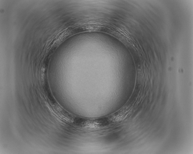 X0000059840263200511111752