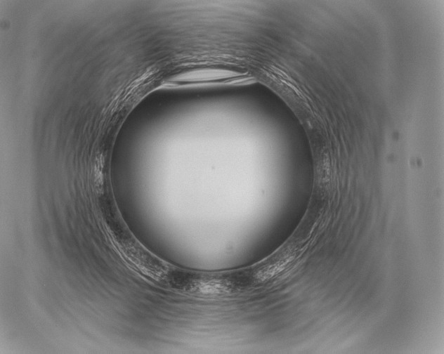 X0000059840264200511111752