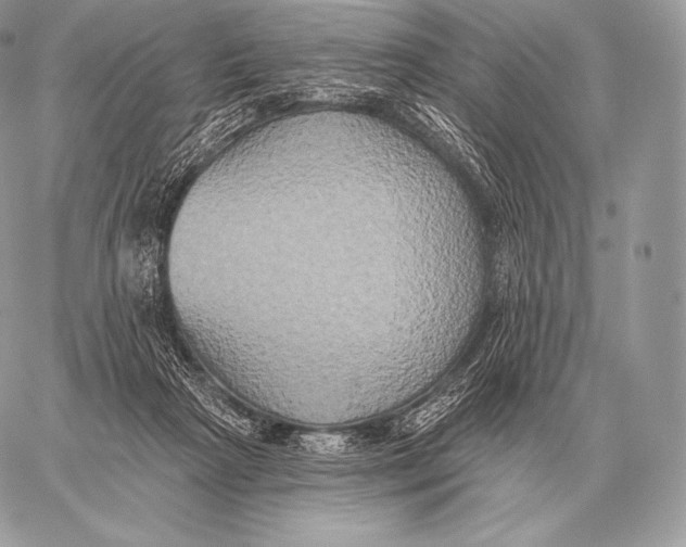 X0000059840265200511111752