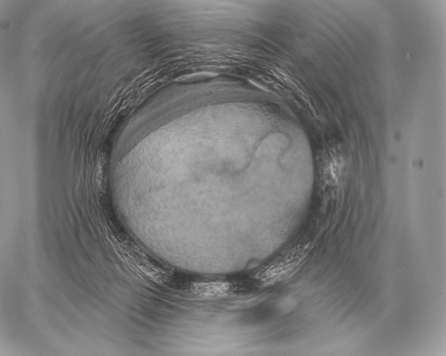 X0000059840266200511111752