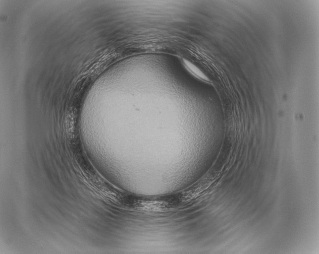 X0000059840268200511111752