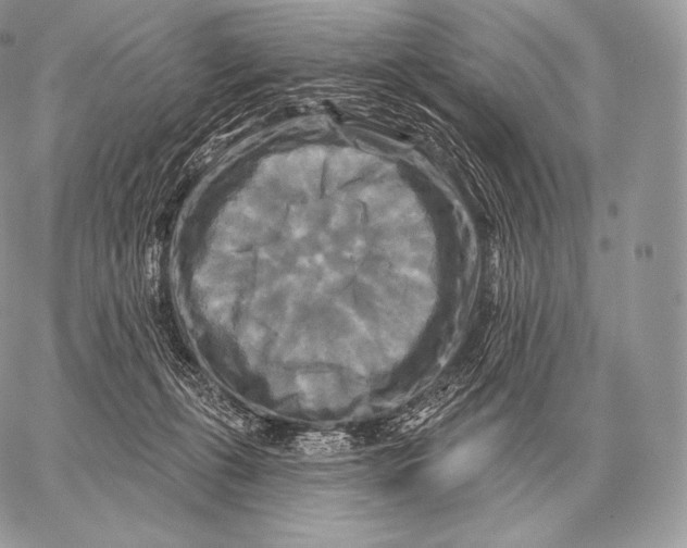 X0000059840271200511111752