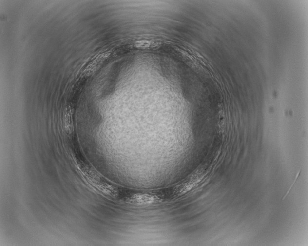 X0000059840272200511111752