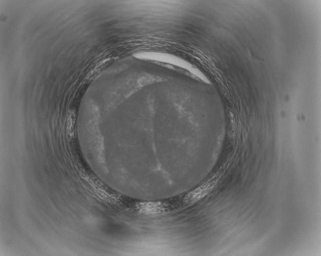 X0000059840273200511111752