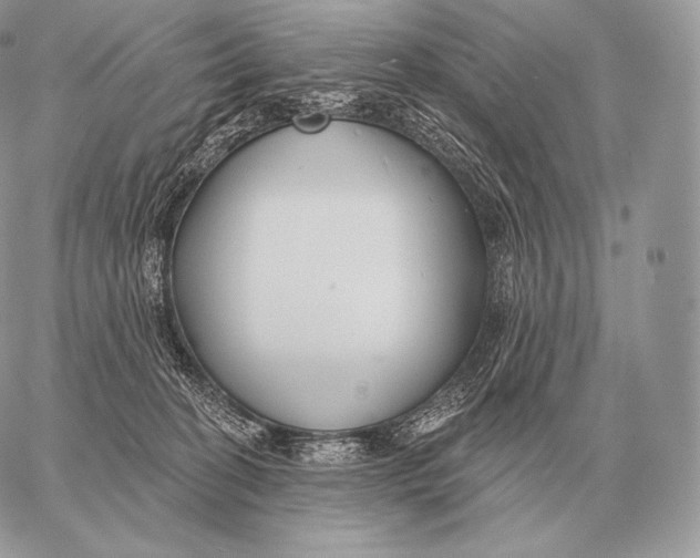 X0000059840274200511111752