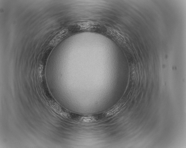 X0000059840275200511111752