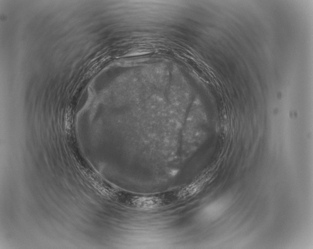 X0000059840277200511111752