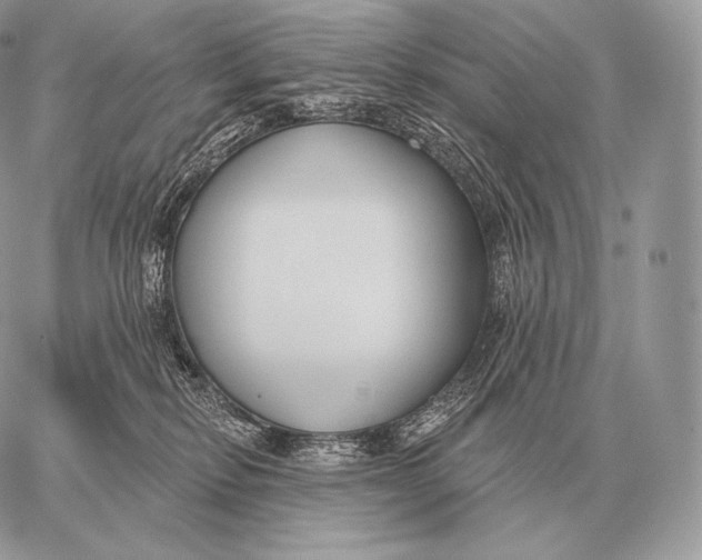 X0000059840278200511111752