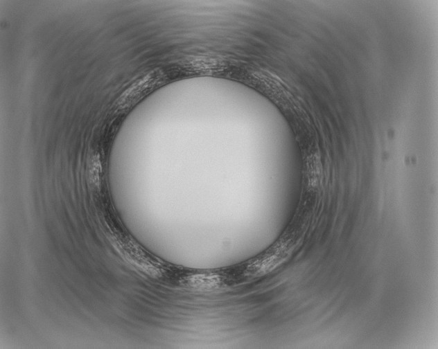 X0000059840279200511111752