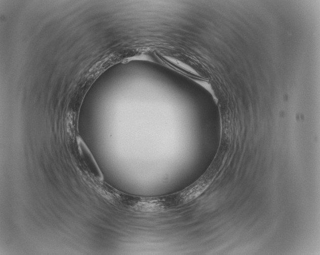 X0000059840280200511111752