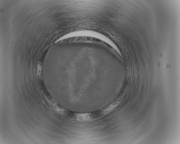 X0000059840281200511111752