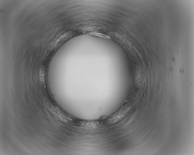 X0000059840282200511111752