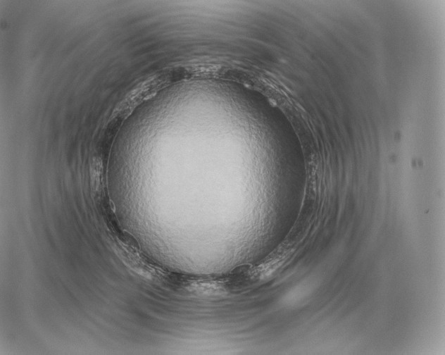 X0000059840283200511111752