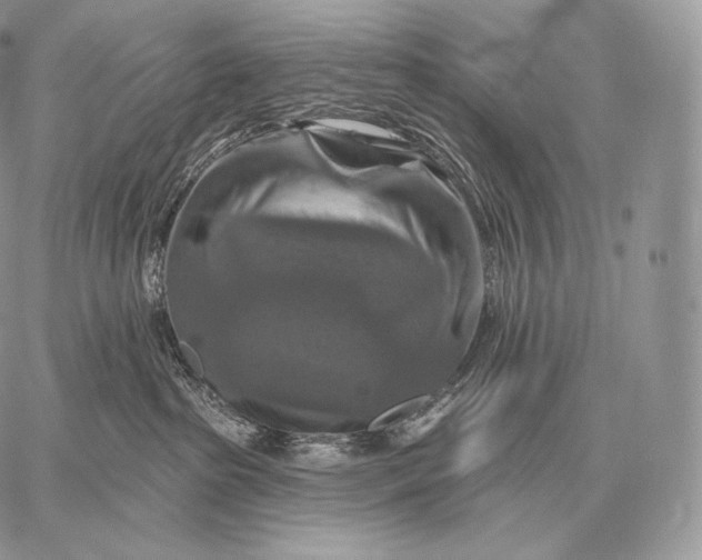 X0000059840285200511111752