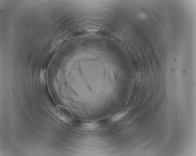 X0000059840286200511111752