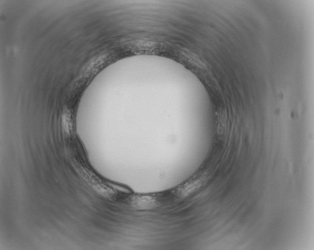 X0000059840287200511111752