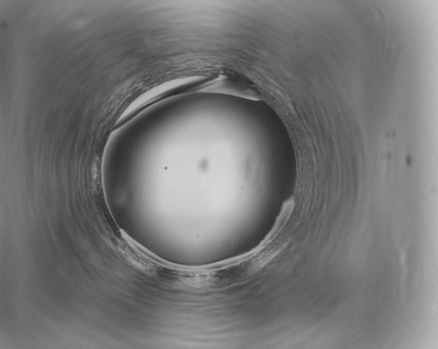 X0000059840288200511111753