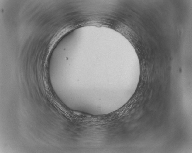 X0000059840289200511111752