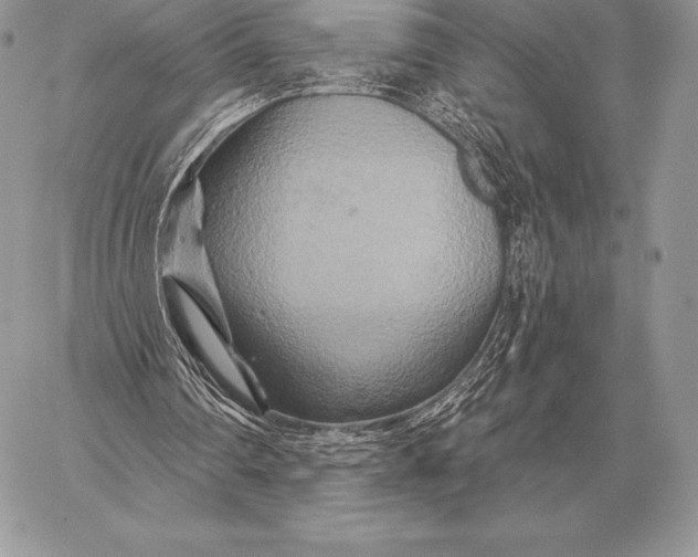 X0000059840290200511111752