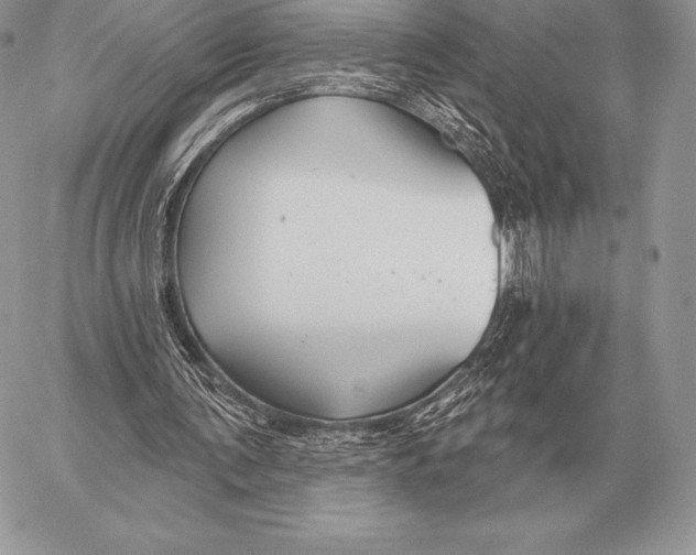 X0000059840291200511111752