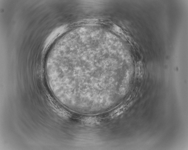 X0000059840293200511111752