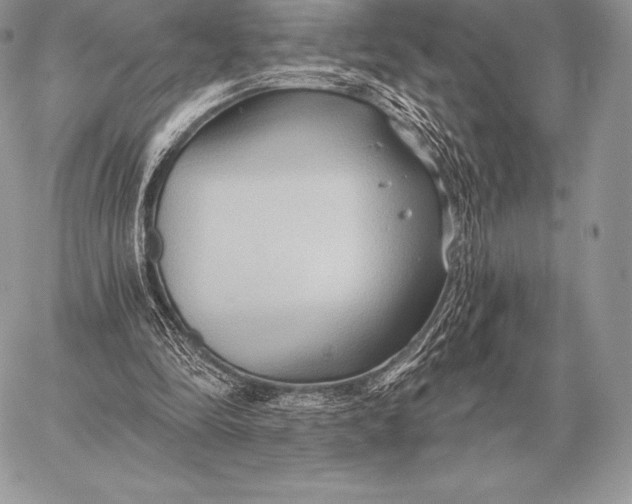 X0000059840294200511111752