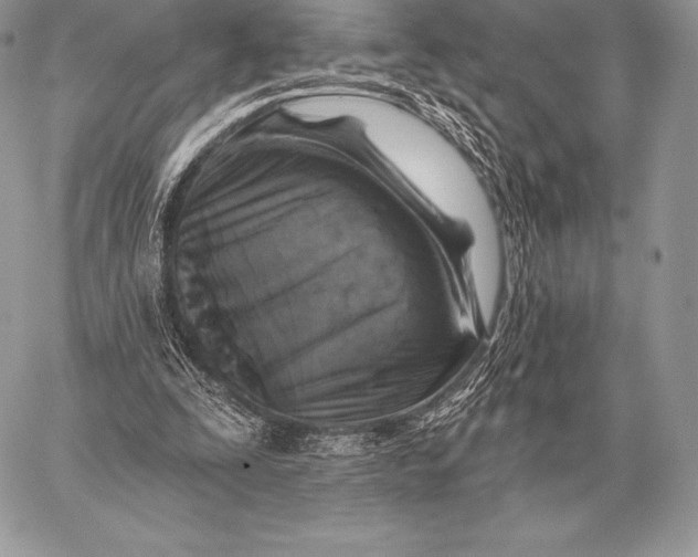 X0000059840295200511111752