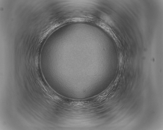 X0000059840297200511111752