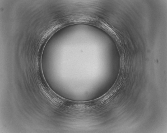 X0000059840298200511111752