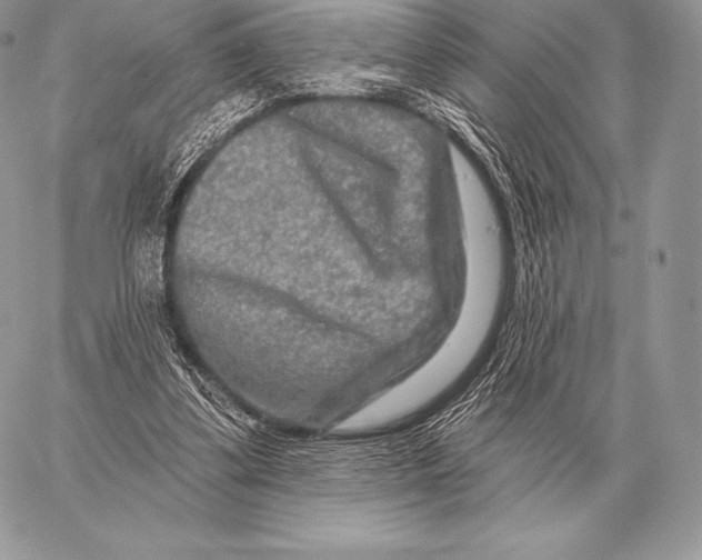 X0000059840299200511111752