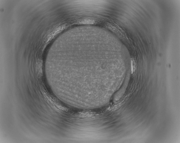 X0000059840300200511111752