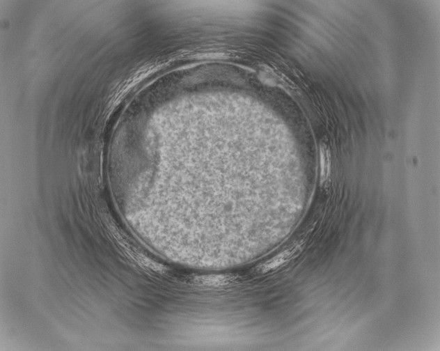 X0000059840301200511111752