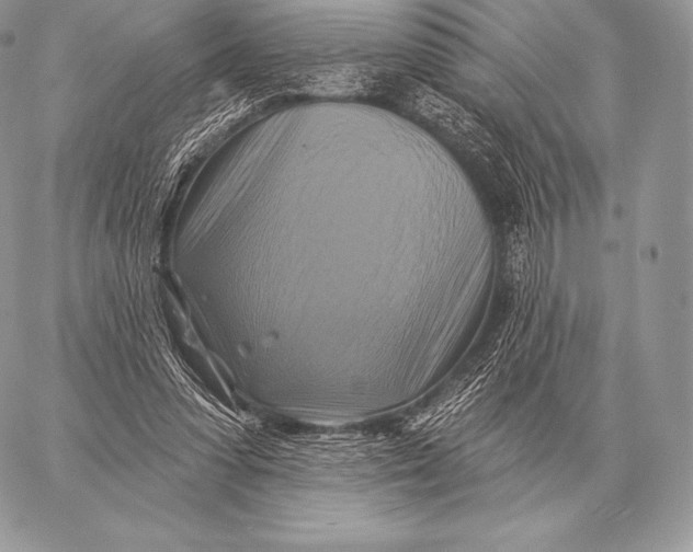 X0000059840303200511111751