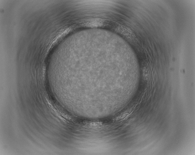 X0000059840304200511111751