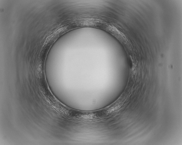 X0000059840306200511111751