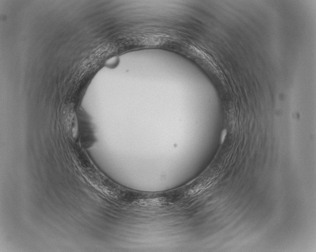 X0000059840307200511111751