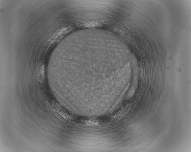 X0000059840308200511111751