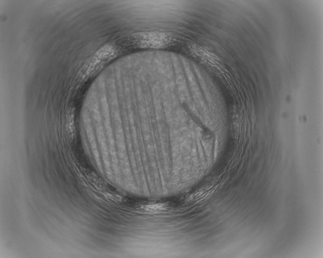 X0000059840312200511111751