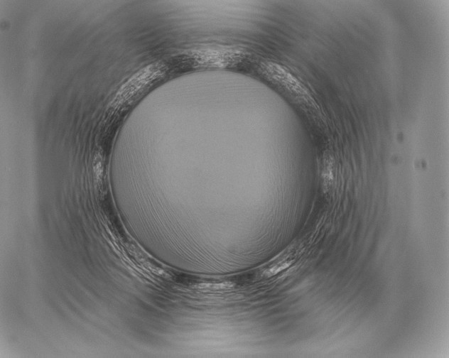 X0000059840314200511111751