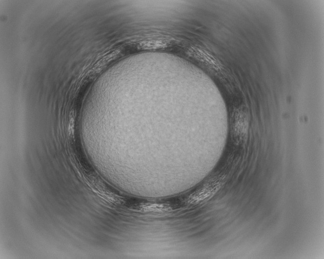 X0000059840315200511111751