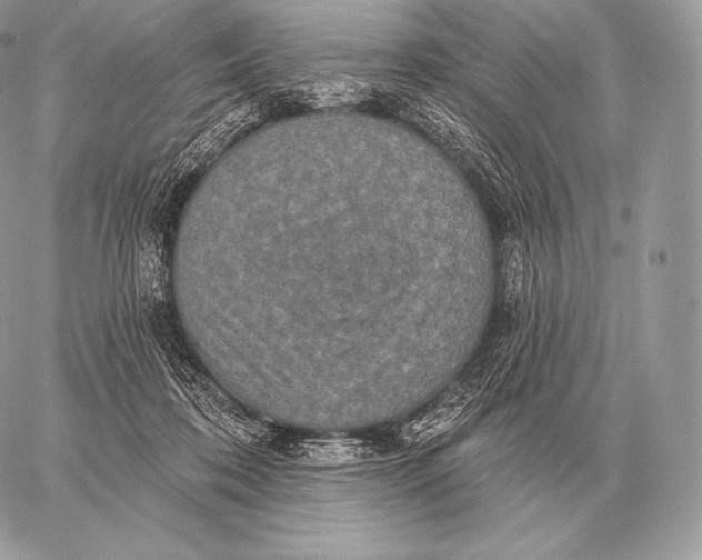 X0000059840316200511111751